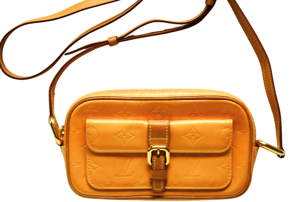 Louis Vuitton Christy MM Monogram Empreinte