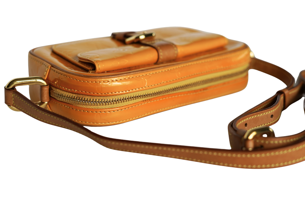 Louis Vuitton Christy MM Monogram Empreinte
